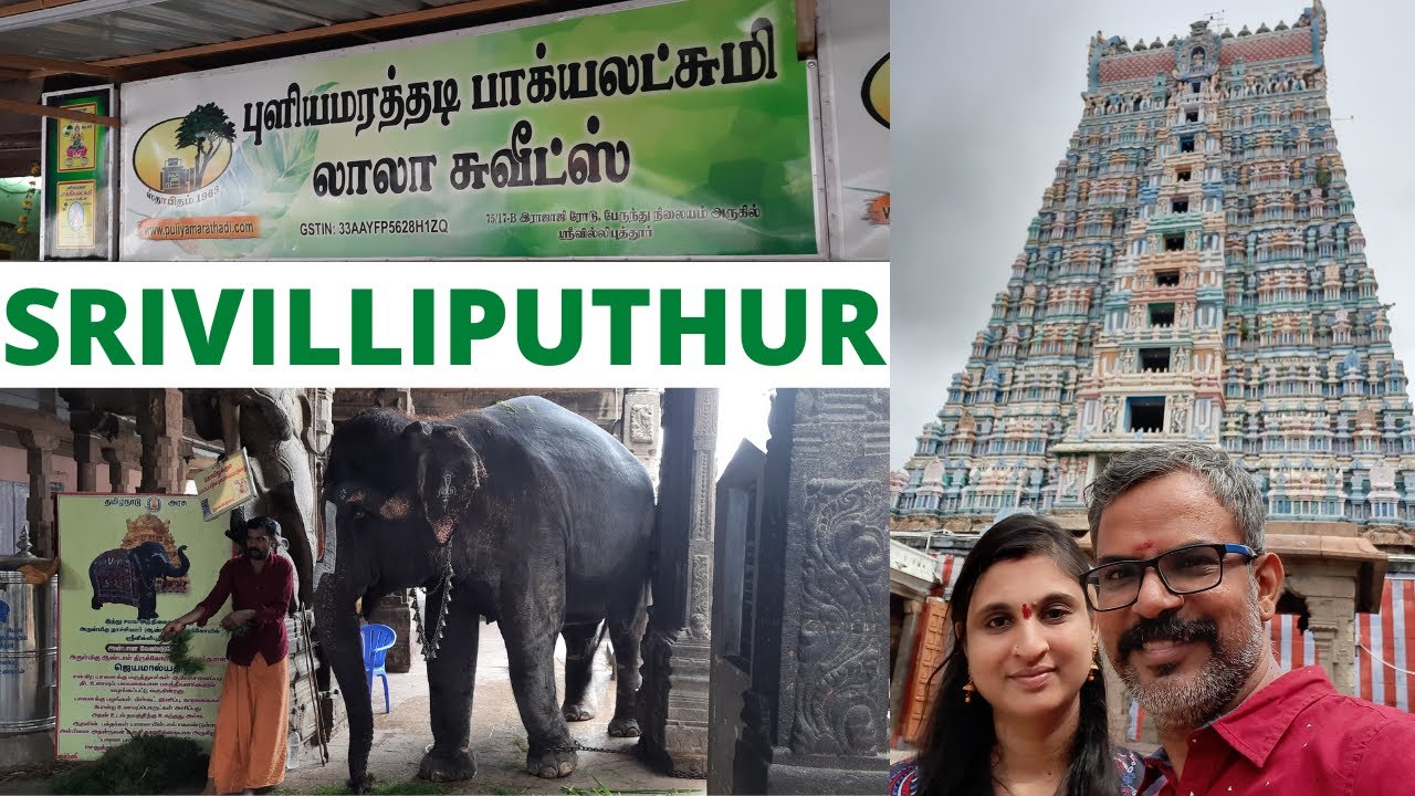 Srivilliputhur Andal Temple | Srivilliputhur Palkova | Tamil | Anitha Gurushankar