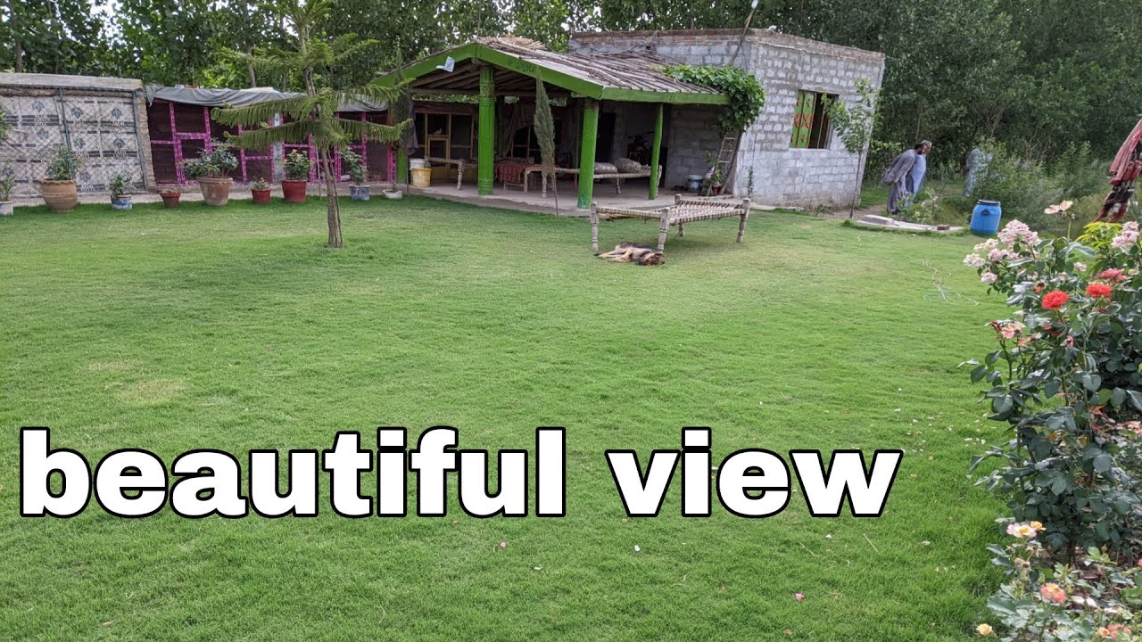 beautiful farmhouse  ||amazing view mardan village kpk vlog || adnan daily vloogar