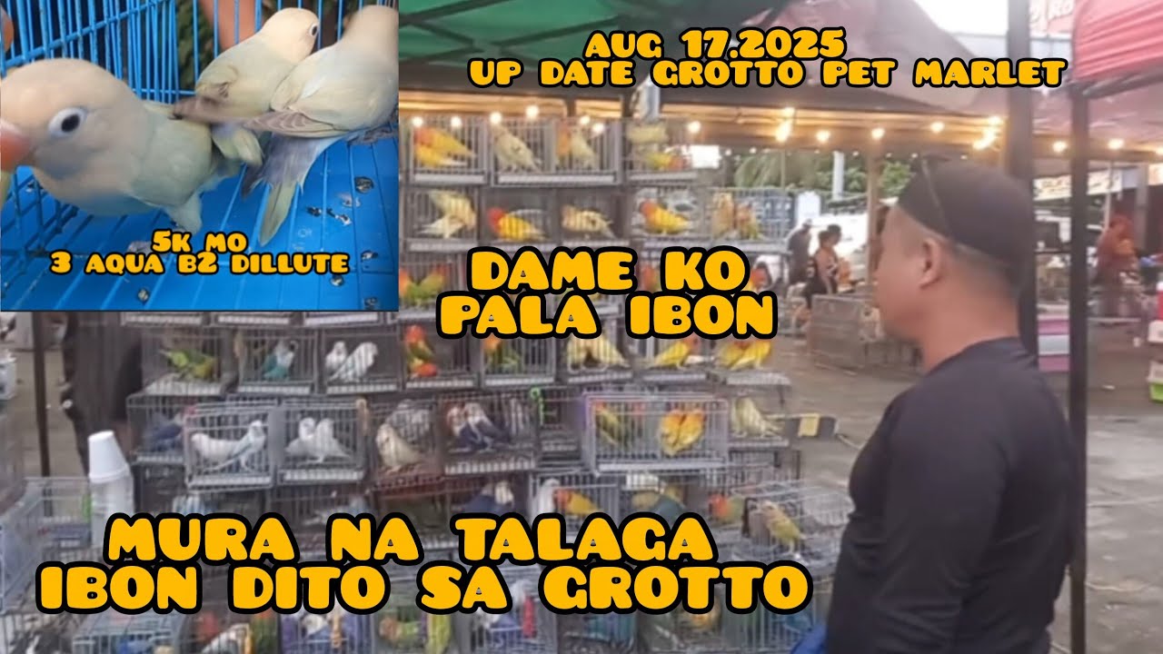 ep#192 Aug 17 2025 up date sa Grotto pet market. 5k mo packages 3 aqua 2 mura na talaga ibon.