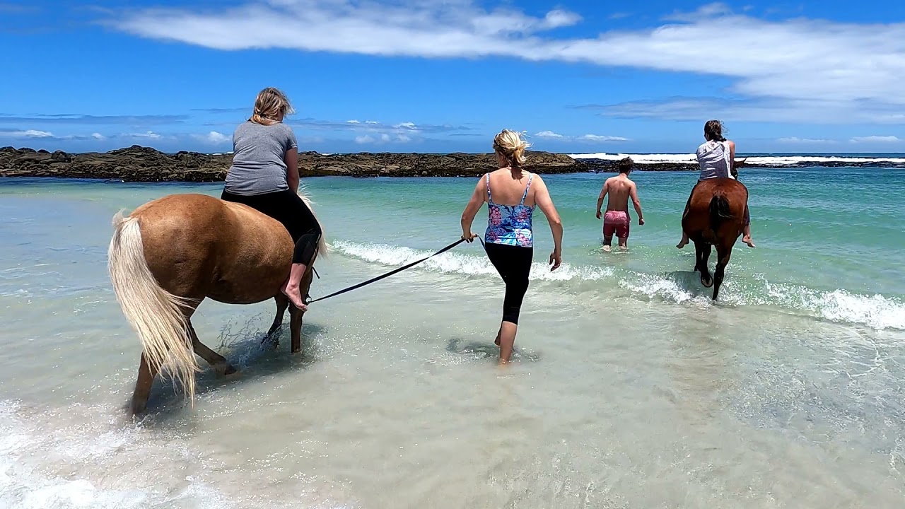 Gansbaai & Pearly Beach Horse Trails (Western Cape) - Another Day, Another Trail: 07 Dec 2021