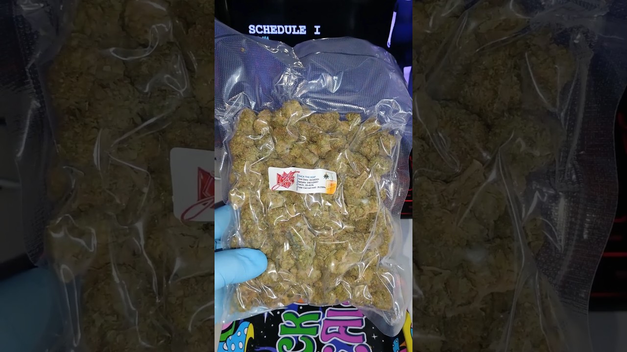 The Soap🧼🫧 Quarter Pound from JK Distro #420blazeit #smokeweedeveryday  #cannabiscommunity #jkdistro