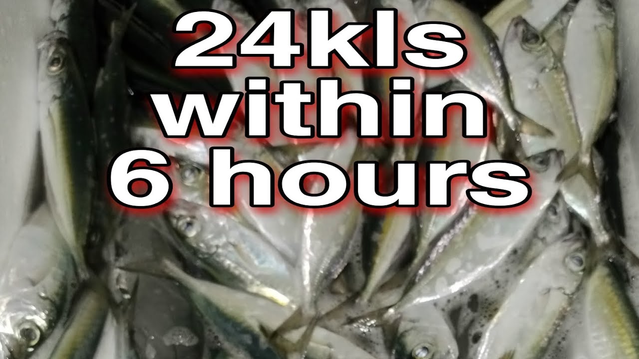 part 3 adlo attack | paghuli ng matambaka (adlo) | night fishing | paraan ng pangingisda