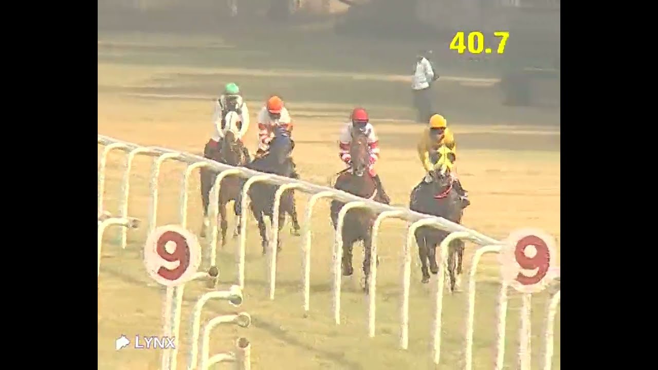 Delhi Race No 2 The Janpath Plate/ win - ASHWA PATHAN/ Jockey - A S Peter / #video 2026