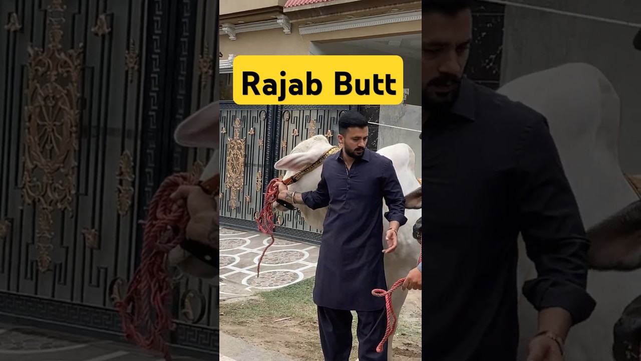 Rajab Butt Ke Qurbani Ke Janwar |#shorts #shortsfeed #ytshorts #youtubeshorts #viralshort #ytshorts