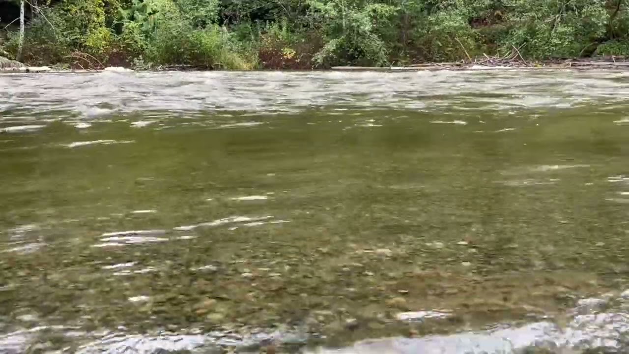 A River Streams By (Relaxing River Sounds) #relaxingsounds #relax #nature