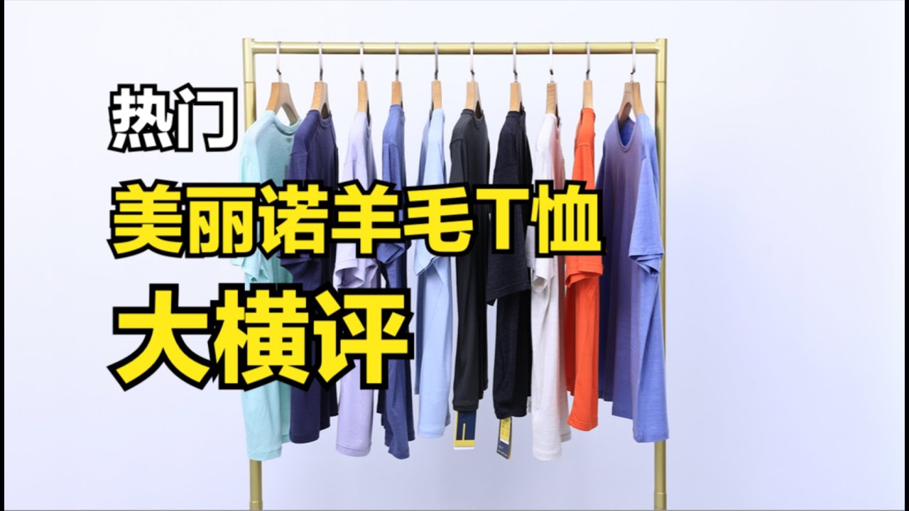 热门美丽诺羊毛T恤，哪家值得买？