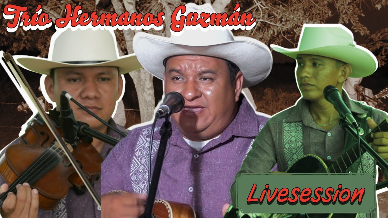 🔥GUZMAN HUAPANGUEROS TRIO 