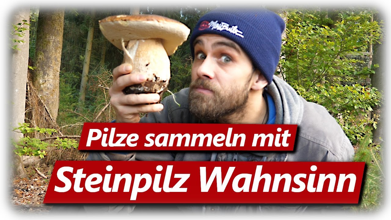 STEINPILZ WAHNSINN | Speisepilze sammeln im Oktober