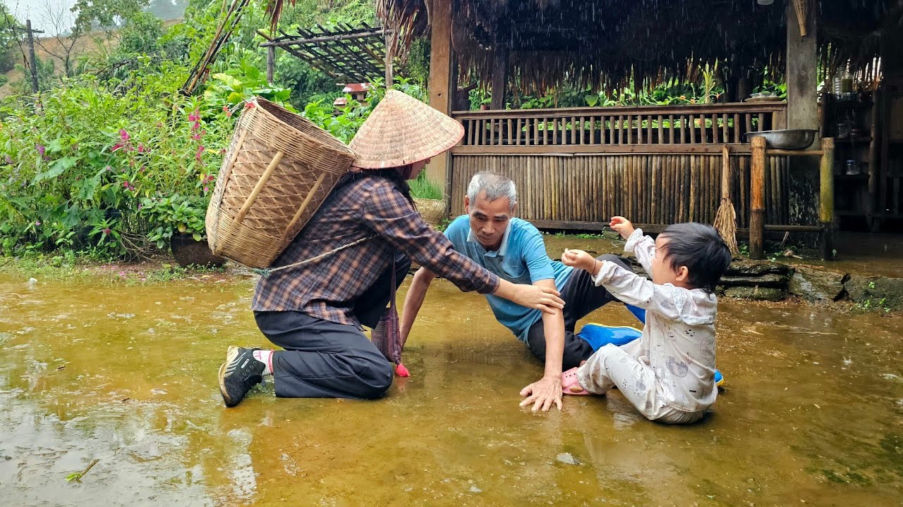What happened to my grandfather: Harvesting and Processing pickled star fruit | Building rural life.
