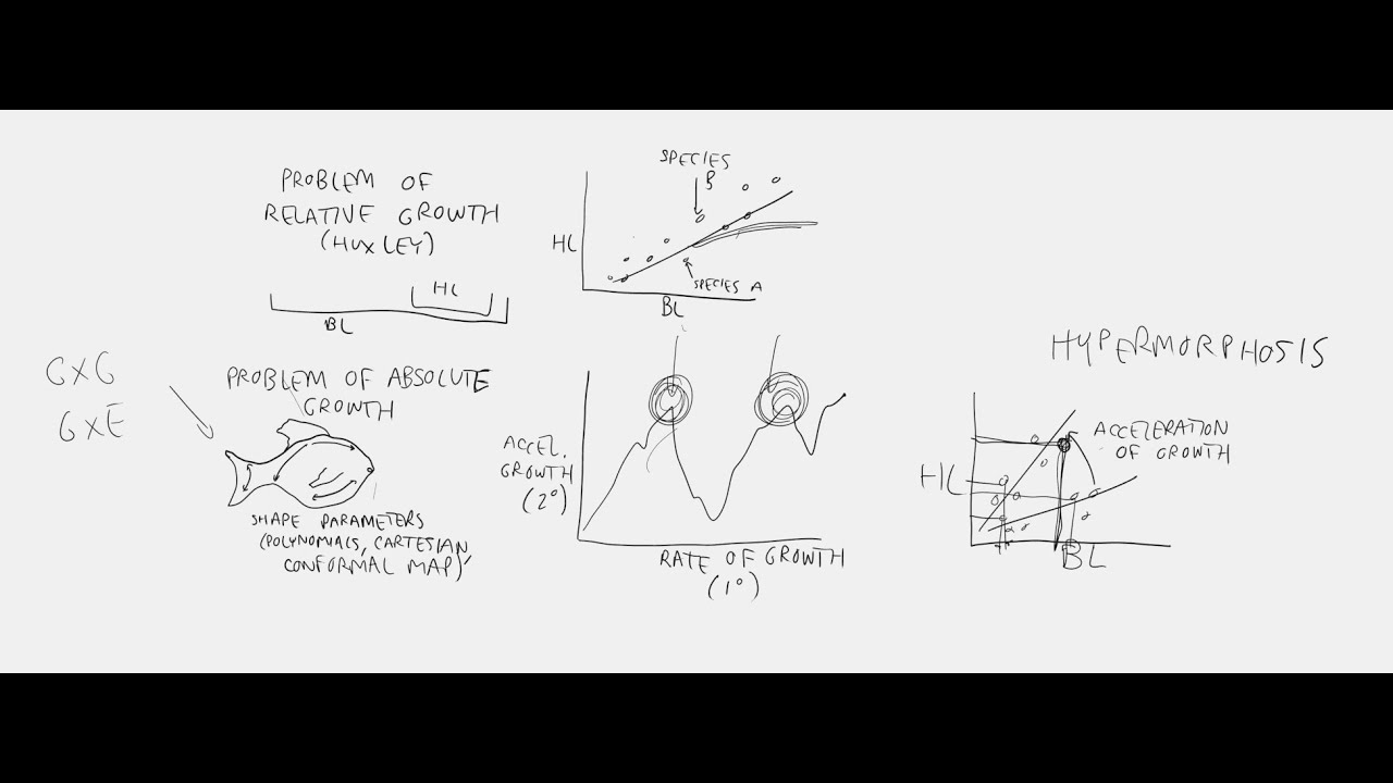 DevoWorm (2025, #39): Art of the Soluable and D'Arcy Thompson (history of physical development)