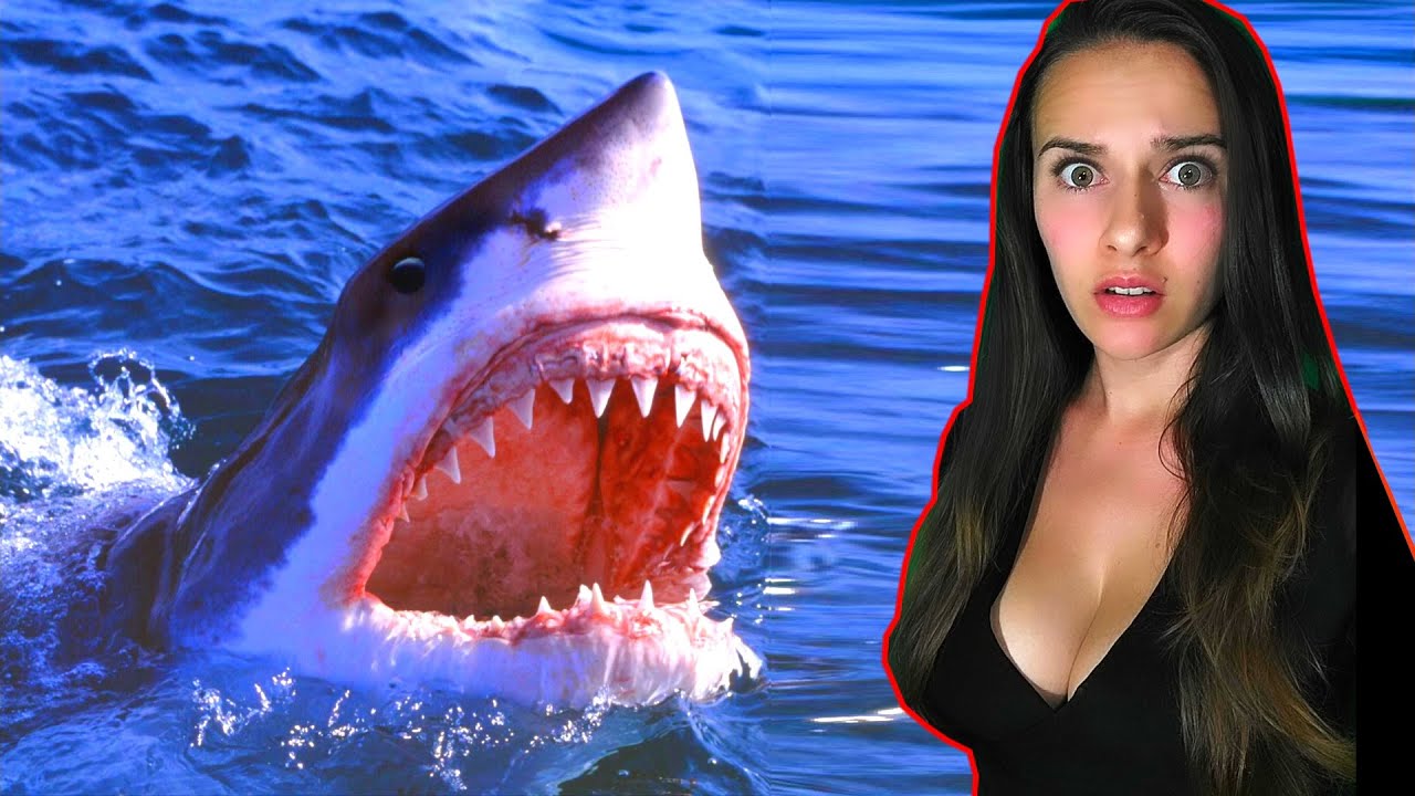3 METROV&Yacute; ŽRALOK ZA&Uacute;TOČIL NA NA&Scaron;&Iacute; PL&Aacute;ŽI! - NO CLICKBAIT!