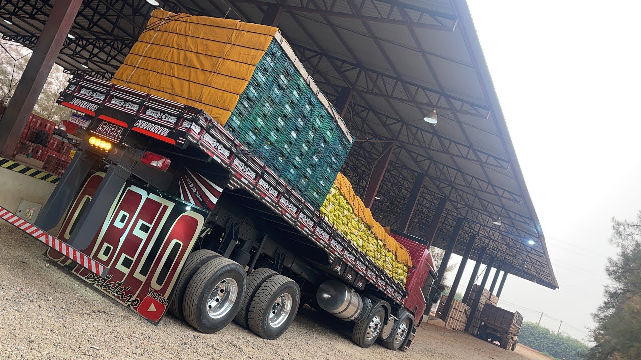 VIM EM LARANJEIRAS CARREGAR A JOANINHA 🐞 😍