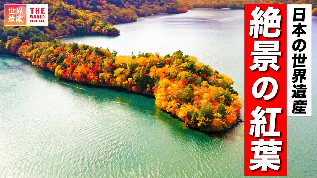 【紅葉】この秋行きたい！日本の世界遺産！絶景の紅葉まとめ