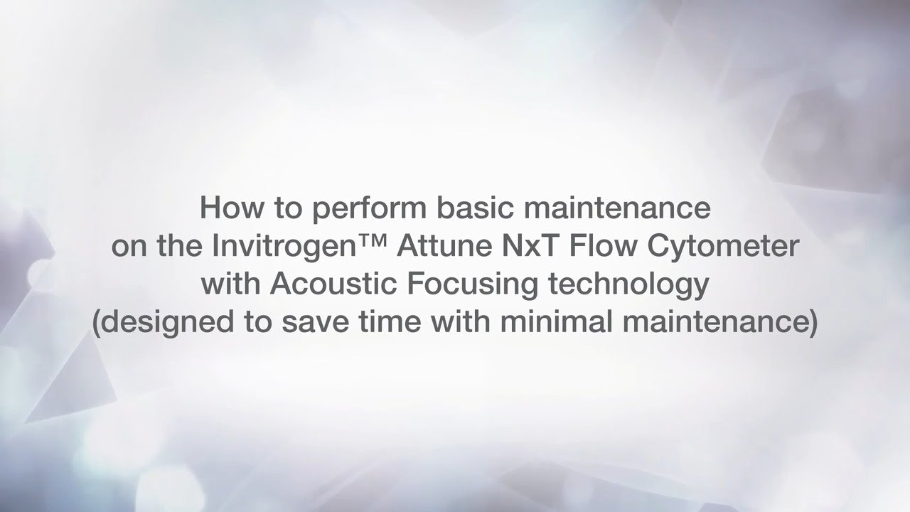 Invitrogen Attune NxT Maintenance