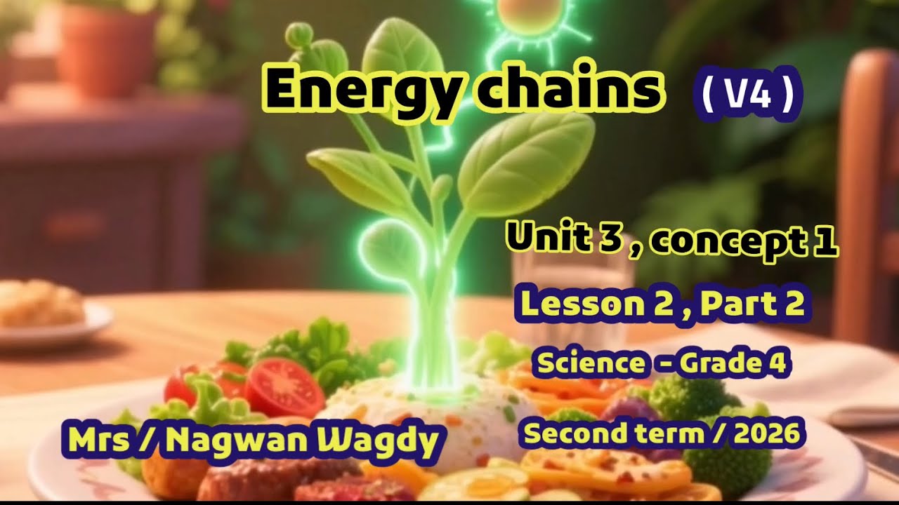 lesson 2 , part 2 , unit 3 , concept 1 , energy chains , الصف الرابع التيرم الثاني 2026