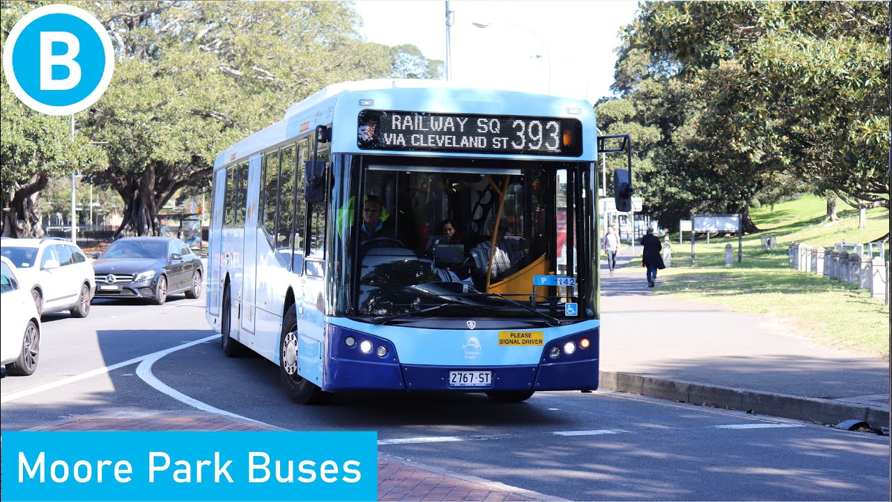 Sydney Buses - Moore Park Buses (100th Video Special)