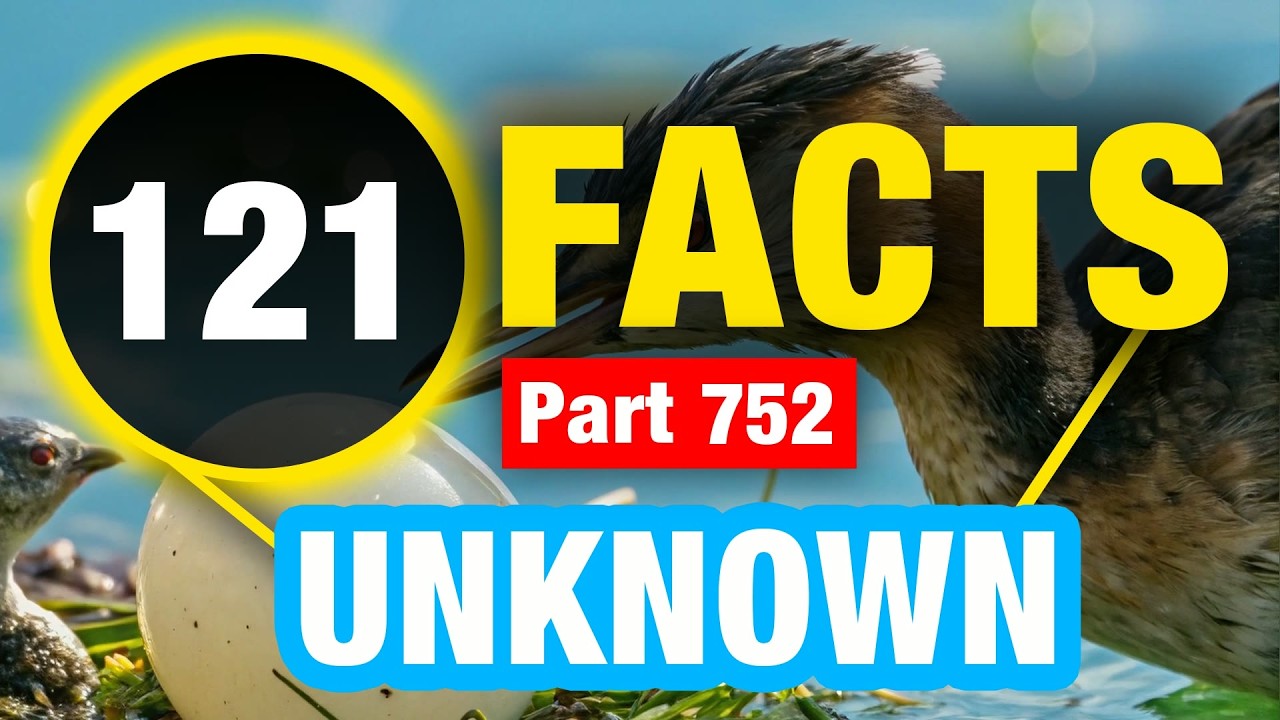121 Weird Fun Facts | Mind Blowing World Facts