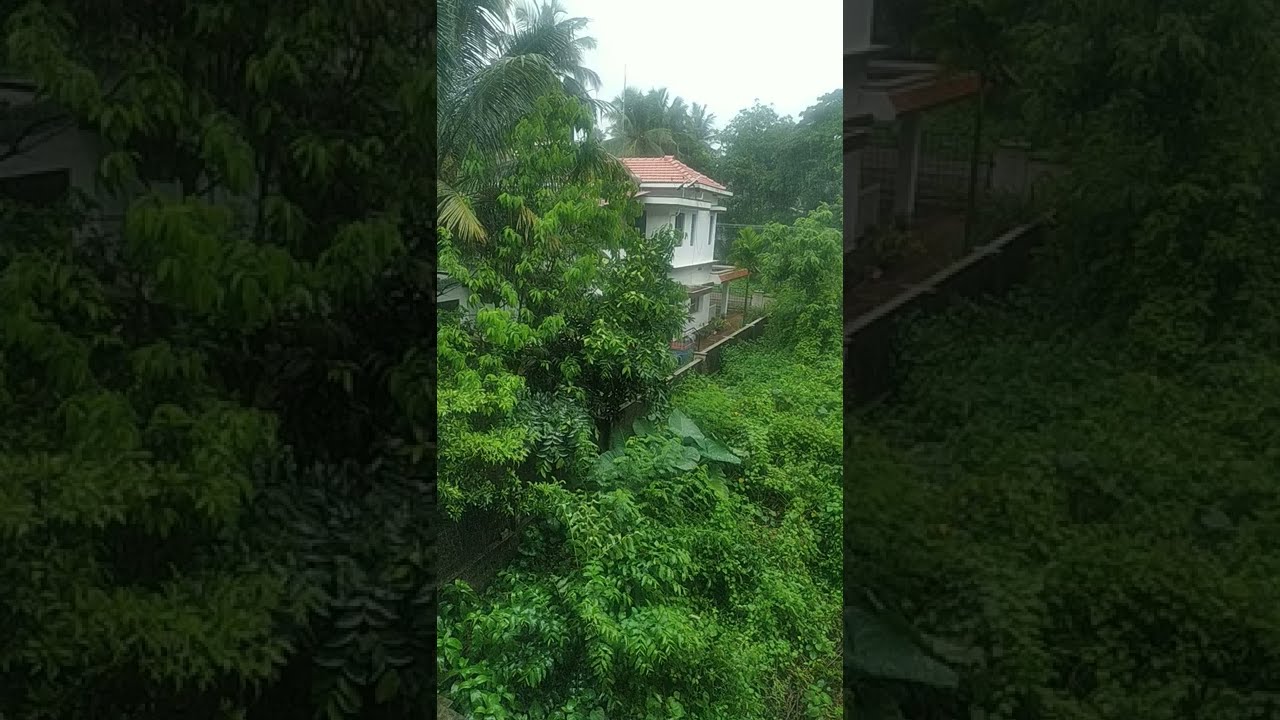 HEAVY RAIN lashes Udupi in Karnataka #monsoon #udupirain #rain #karnataka #weatherupdate #rainsound