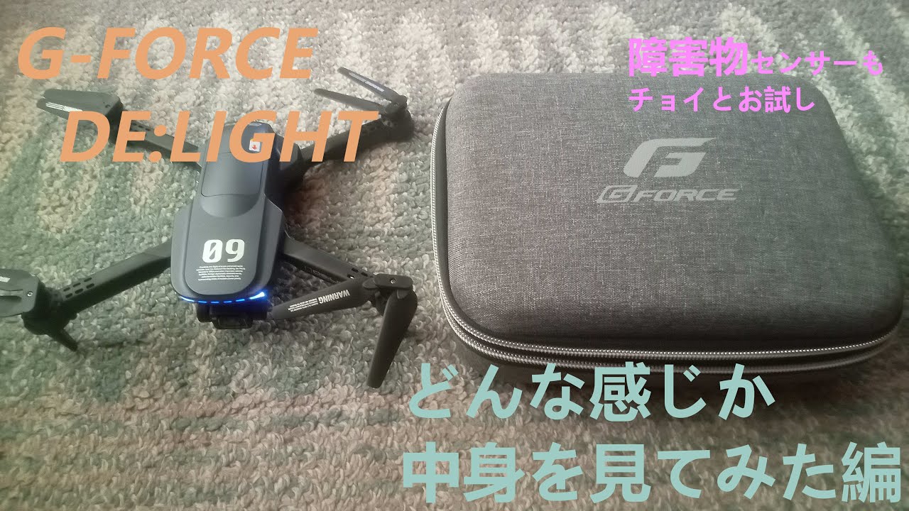 G-Force DE:LIGHT （ディライト）トイドローンの中身を見てみた編