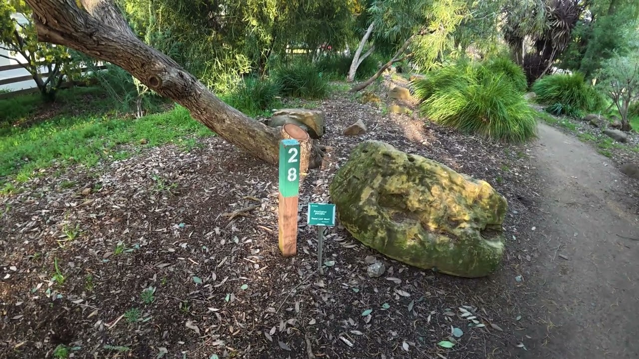Markham Arboretum: спокій, квіти і трохи англійської