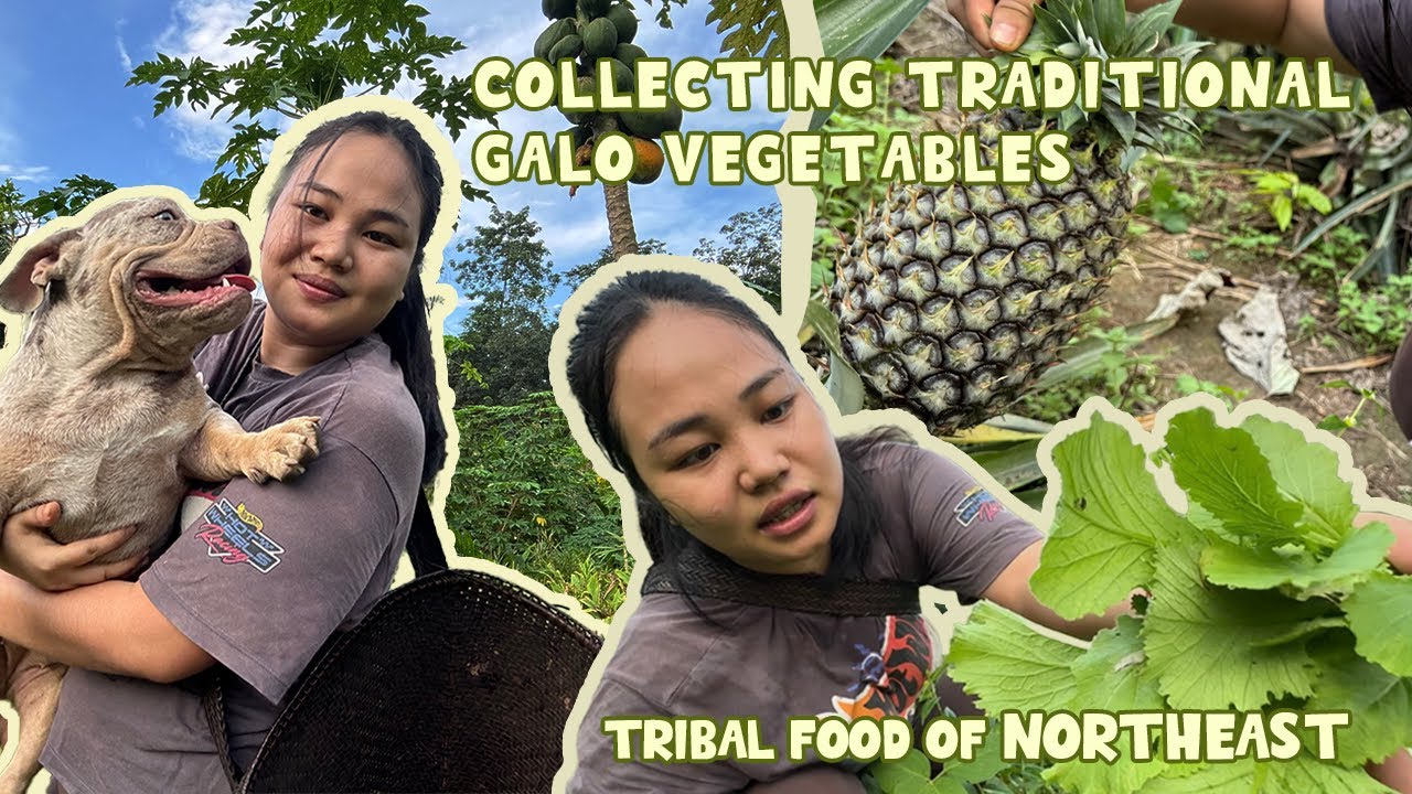 Went jungle to Collect  wild veggies  with mom // village recipe of our traditional food with pork 