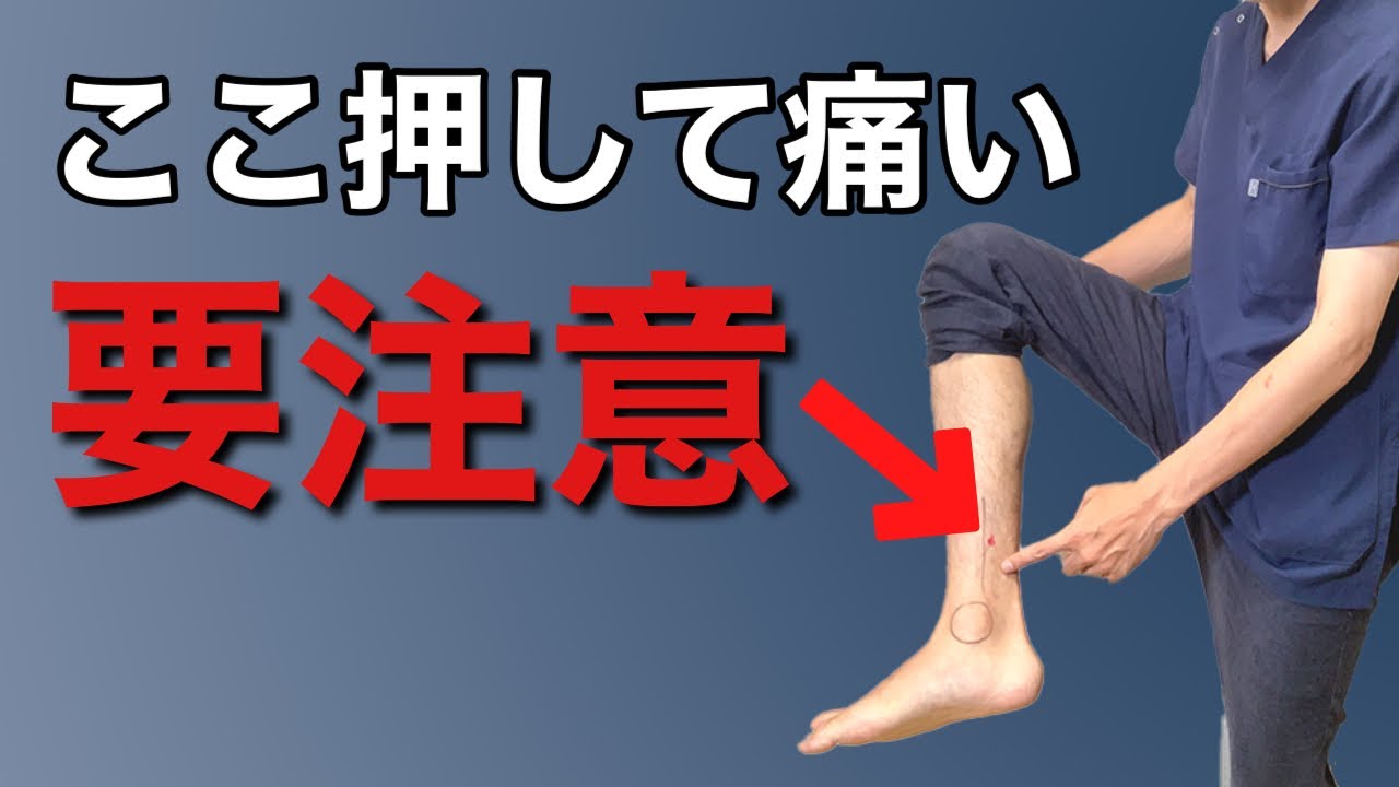 【三陰交】押して痛い人、お腹の滞りのサインかもしれません。｜練馬区大泉学園 お灸サロン仙灸堂