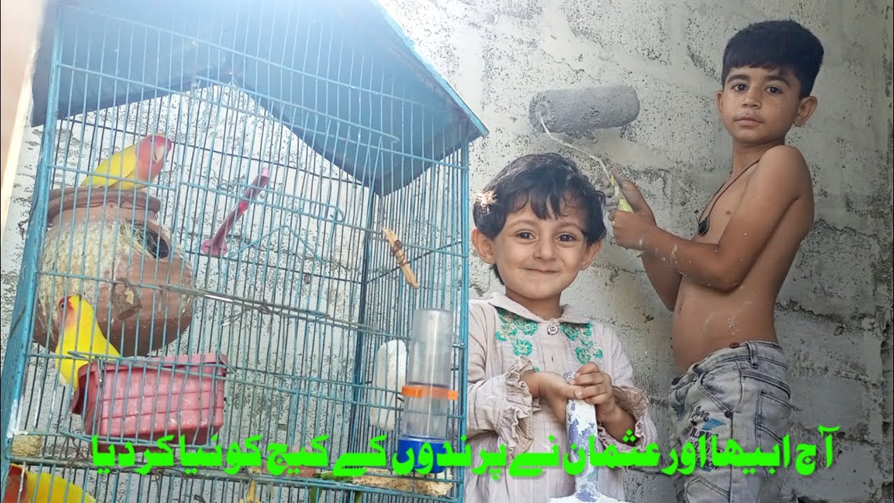 Birds Ke Setup Per Badi Tabdeeli | Usman aur Abeeha ne bahut tang kiya