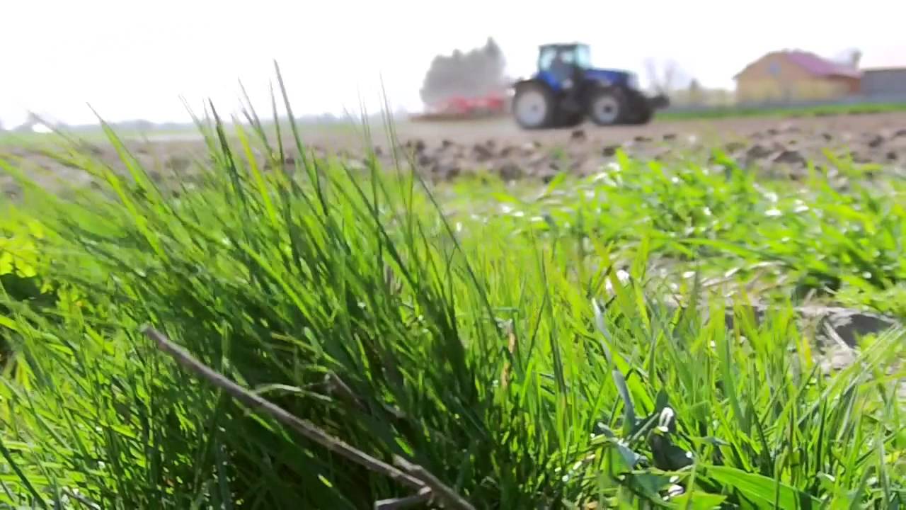 ★ Uprawa i siew kukurydzy 2015 ☆ New Holland T7.210 ★ KamionkiTeam ㋡