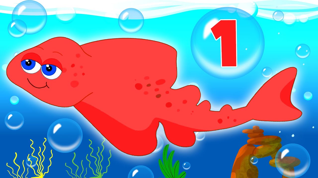 Shark Song For Babies + More Nursery Rhymes & Kids Songs | Animal Songs #kidssongs #babysongs