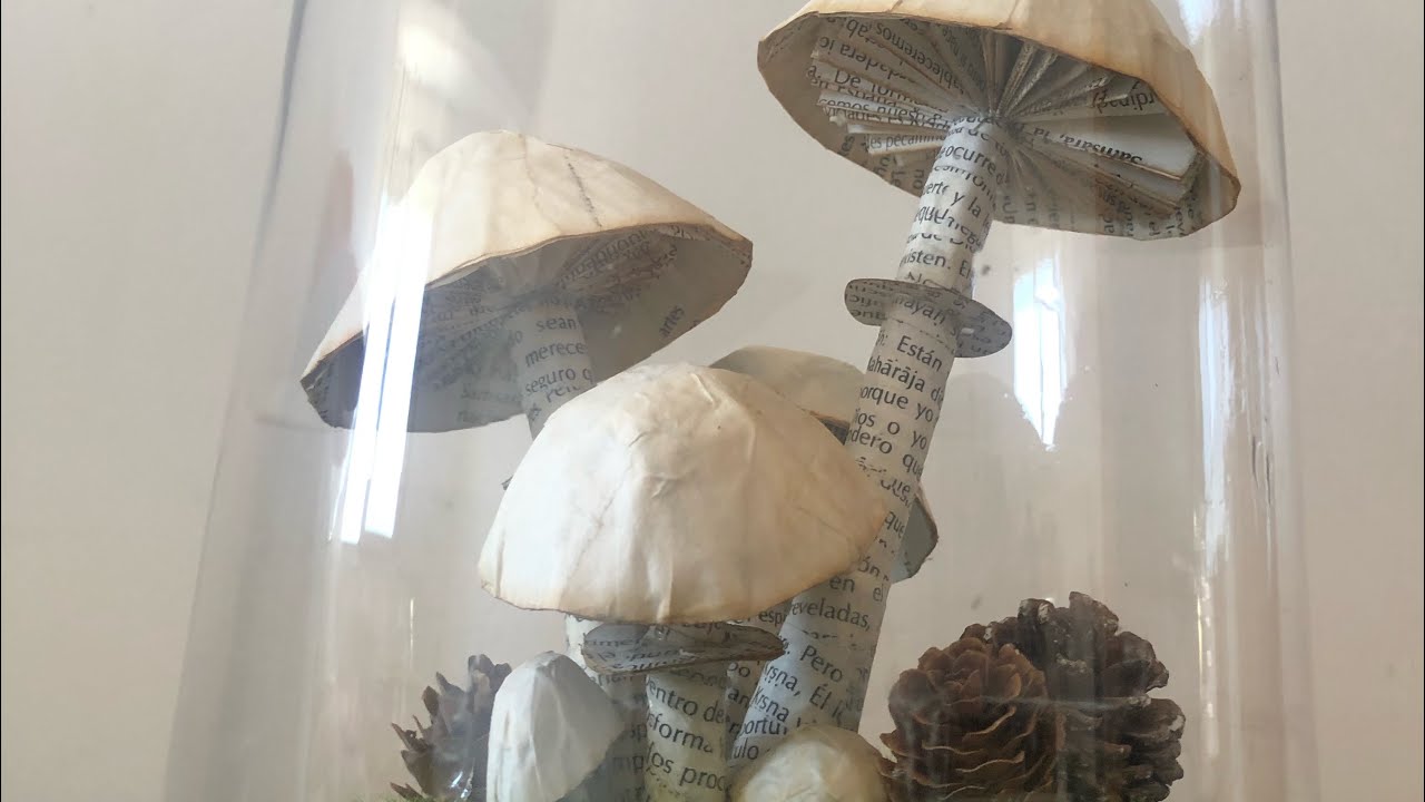 Como hacer SETAS decorativas  /how to make decorative mushrooms 🌱