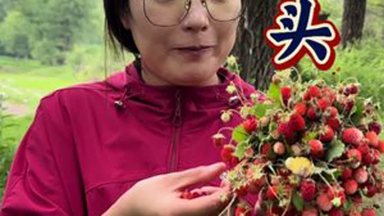 #原创视频 #我的乡村生活 #甘肃周周