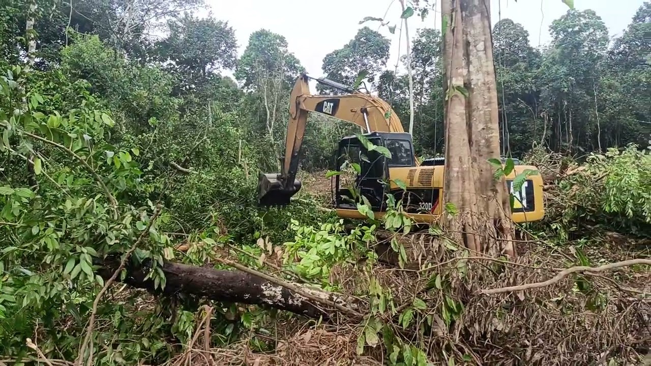 EXCAVATOR CAT 320D BUKA LAHAN SAWIT