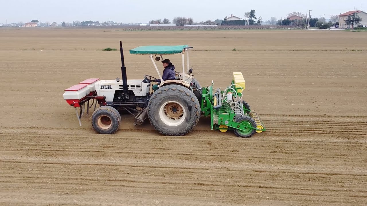 Semina a campo aperto, secondo natura
