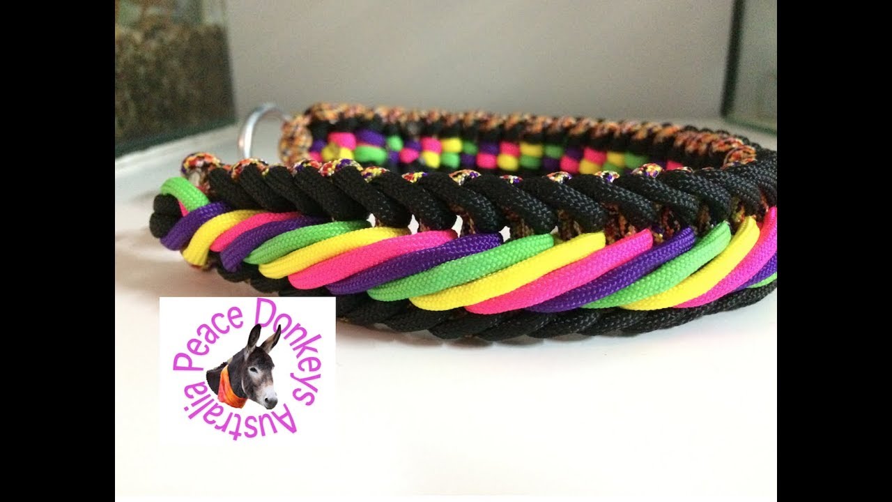 Licorice all sorts paracord dog collar