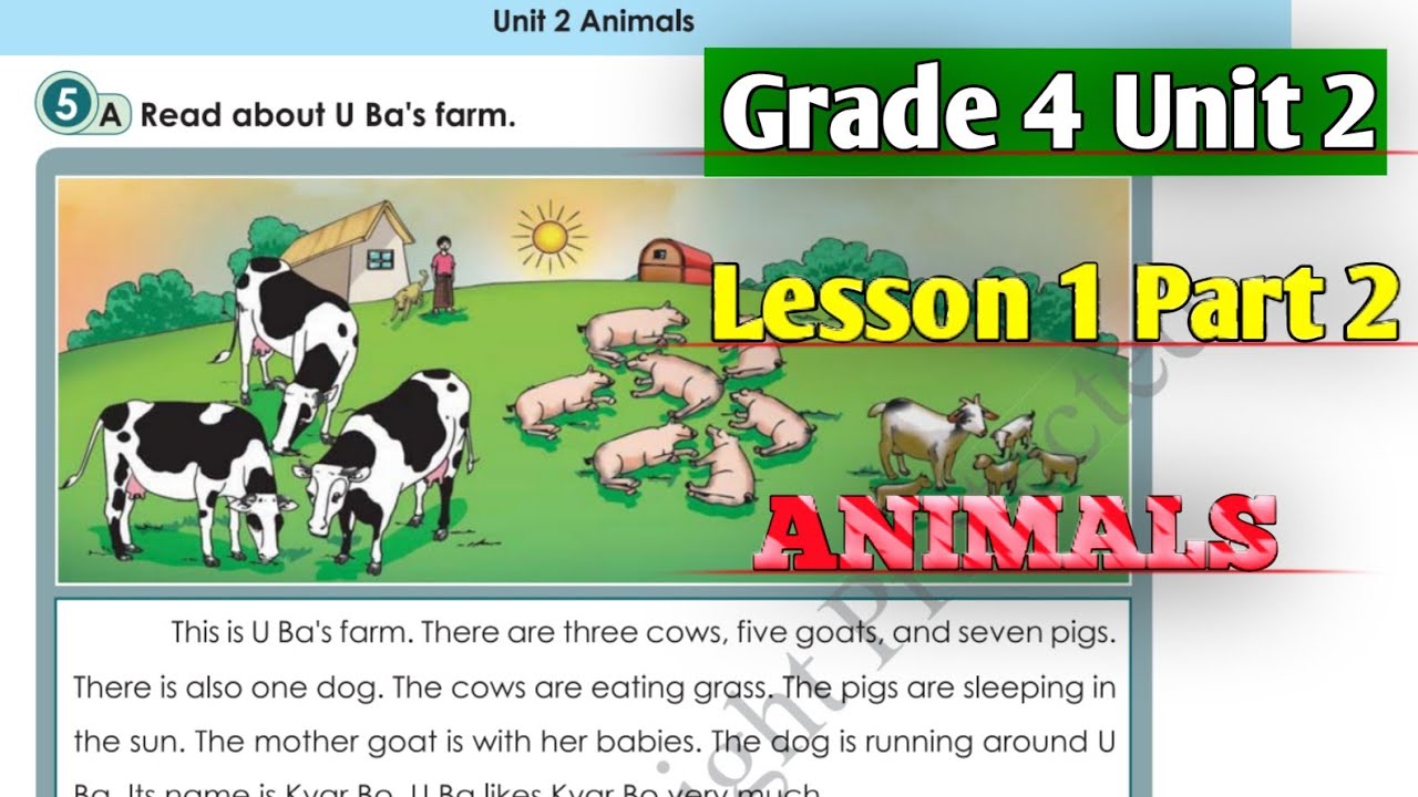 Myanmar New English Textbook Grade 4 Unit 2 Animals | Lesson 1 Part 2
