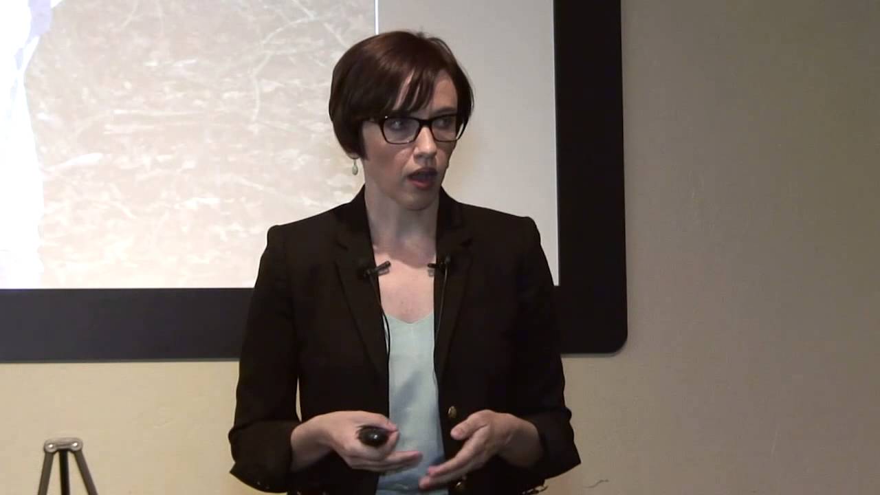 The human rights crisis at the border | Robin Reineke | TEDxTucsonSalon