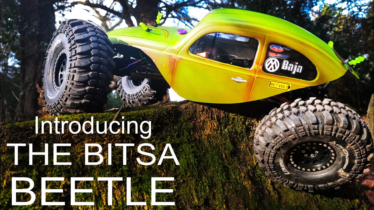 This is Bitsa Beetle and it could be yours!