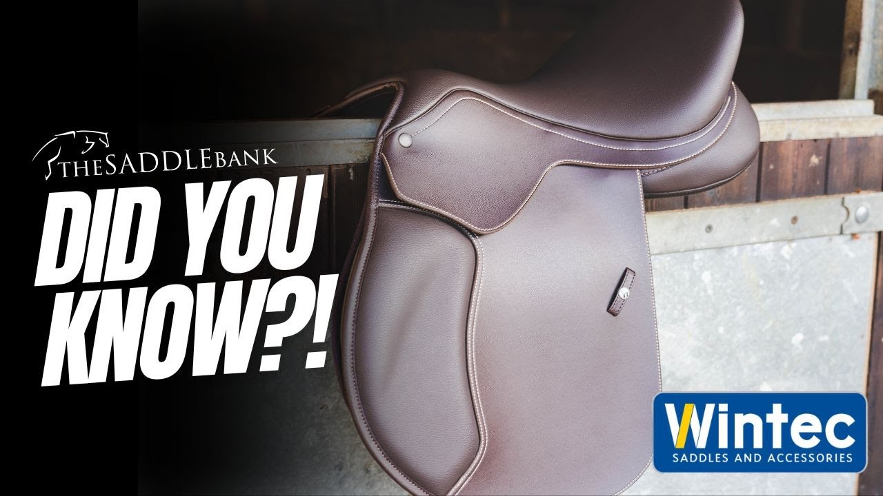 Did You Know? – Key Features in a Wintec Saddle 🐴✨