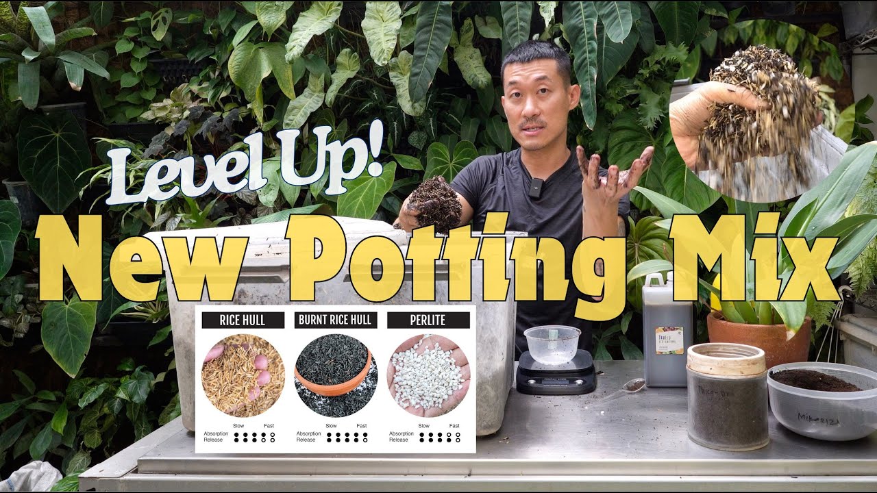 Free! 🪴 Potting Media Recipe For ULTIMATE 💪🏼 Growth | Learn EASY Fermentation + Beneficial Fungi