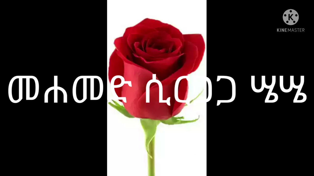 ሤሤ መሐመድ ሲርጋጋ የስልጤ ተወዳጁ ድምፃዊ