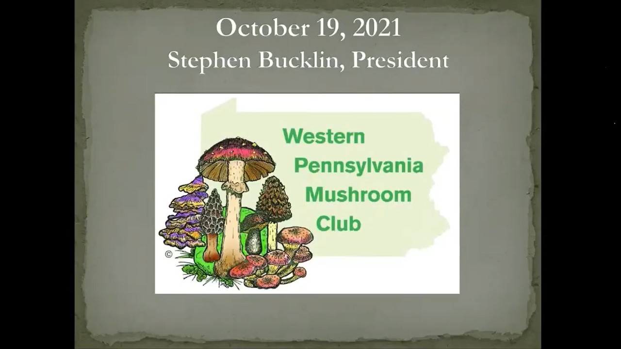 WPMC Photo Contest – Oct 2021