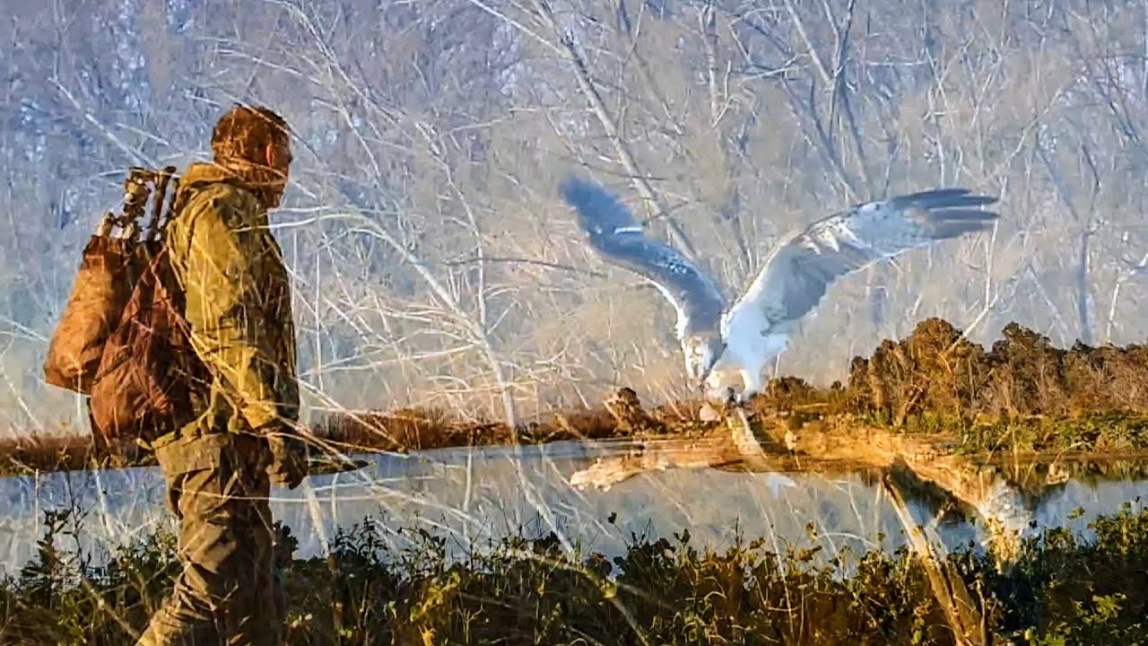 Habitantes de la laguna!!!