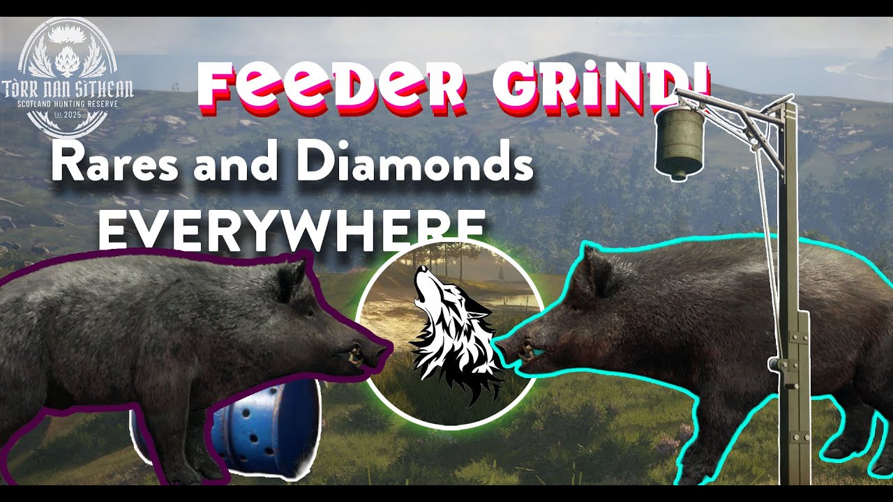 Feeder Grinding BOAR leads to Many TROPHIES!