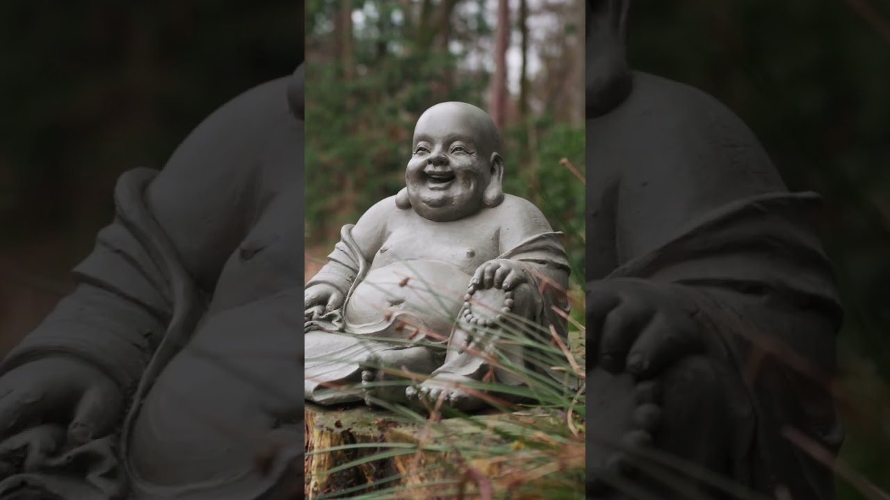 Vind Vreugde met Onze Happy Boeddha | Breng Lach in Je Tuin