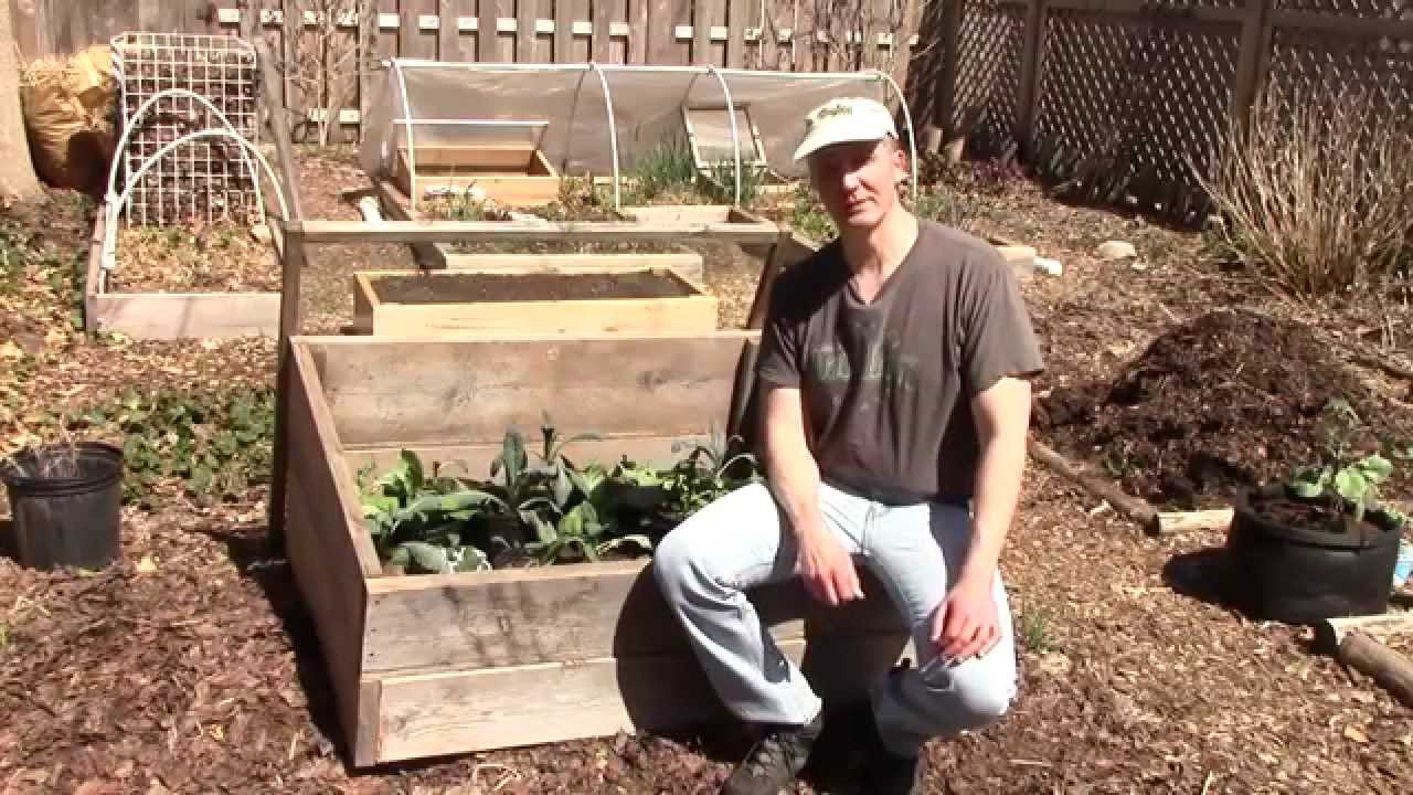 How to Use a Cold Frame Alberta Urban Garden