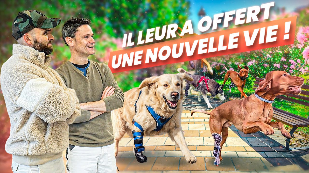 Il crée des prothèses pour chiens, c’est incroyable ! 😱