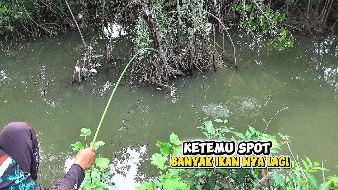 Siapa Sangka spot Seperti ini Ikan nya Banyak 