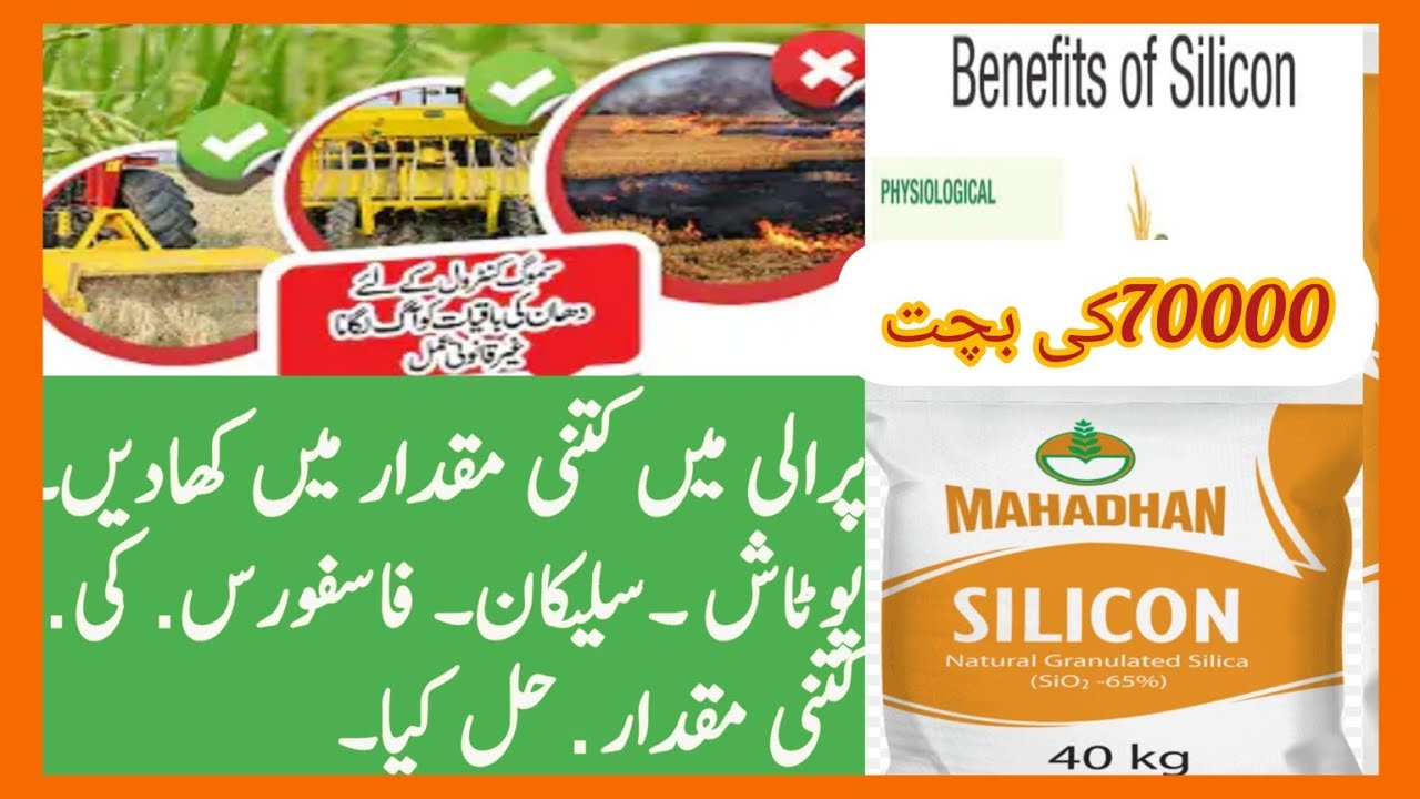 Which are the plant  nutrients burnt during Fire of Rice straw ||Rice Crop residue Fertlity status||