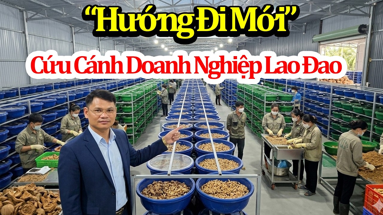 Đơn Vị Xuất Khẩu Đuông Dừa Thương Phẩm Lớn Nhất Việt Nam/ Hỗ Trợ Toàn Phần