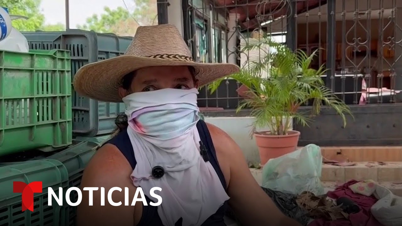 La violencia obliga a familias enteras a dejar sus casas en Michoacán | Noticias Telemundo